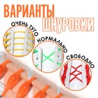 Набор шнурков для обуви, 6 шт, силиконовые, полукруглые, на застёжке, 4 мм, 11 см, цвет оранжевый - фото 22326625