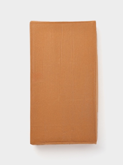 Блюдо «Шелл», 40×25×4 см, алюминий