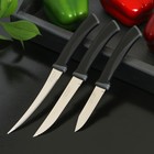 Набор кухонных ножей TRAMONTINA Felice, 3 шт, цвет черный - фото 10608026
