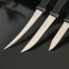 Набор кухонных ножей TRAMONTINA Felice, 3 шт, цвет черный - фото 4383622