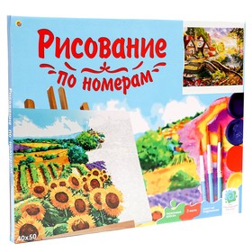 

Холст с красками 40 × 50 см, по номерам «Волшебный загородный дом»