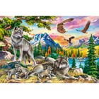 Холст с красками 30 × 40 см, «Волки и орлы» - фото 10608172