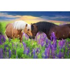 Холст с красками 30 × 40 см, «Романтичные лошади» - фото 10608193