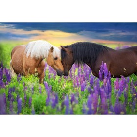 Холст с красками 30 × 40 см, «Романтичные лошади»