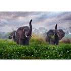 Холст с красками 30 × 40 см, «Слоны на поляне» - фото 10608199