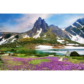 Холст с красками 30 × 40 см, по номерам, 20 цв. «Снежные горы и озеро»