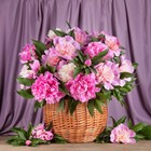 Холст с красками 30 × 40 см, по номерам, 20 цв. «Нежно-розовые пышные пионы» - фото 10608319