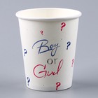 Стакан одноразовый бумажный Boy or Girl на гендер-пати, 250 мл (комплект 10 шт) - фото 22495185 Стакан одноразовый бумажный Boy or Girl на гендер-пати, 250 мл (комплект 10 шт) - фото 22495185