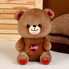 Мягкая игрушка «Медведь», размер 22 см, цвет коричневый - фото 108844016