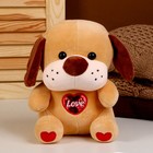 Мягкая игрушка «Собака», размер 22 см, цвет рыжий - фото 108844028