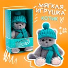 Мякая игрушка «Кот Шанти», с шапкой и шарфом 9470990 - фото 10609072