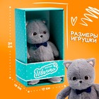 Мягкая игрушка «Кот шанти», с бабочкой, 26 см - фото 5256119