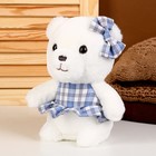 Мягкая игрушка «Мишка», в голубом платье, 22 см - фото 22329062