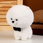 Мягкая игрушка «Собака» с бабочкой, 22 см, цвет белый - фото 108844090