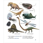 Детская энциклопедия «Динозавры.Твоя первая фотокнига» - Фото 5