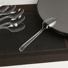 Ложки одноразовые Не ЗАБЫЛИ! «Премиум», набор 6 шт., 18 см, пластик, прозрачные - Фото 2