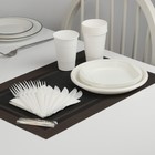 Набор пластиковой одноразовой посуды на 6 персон «Шашлычный №3», тарелки, стаканы, ножи, вилки, салфетки, зубочистки, цвет белый - фото 303095778