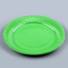 Набор бумажной посуды: 6 тарелок, 6 стаканов, цвет зелёный - фото 4650363