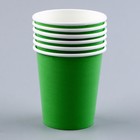 Набор бумажной посуды: 6 тарелок, 6 стаканов, цвет зелёный - фото 4650365