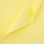 Плёнка для цветов упаковочная пудровая «Жёлтый», 50 мкм, 0.5 х 10 м - фото 3078259