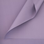 Плёнка для цветов упаковочная пудровая «Фиолетовый», 50 мкм, 0.5 х 10 м - фото 292443131