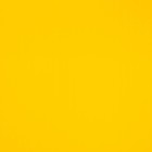 Плёнка для цветов упаковочная пудровая «Ярко-жёлтый», 50 мкм, 0.5 х 10 м - Фото 2