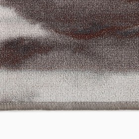 

Ковровая дорожка, размер 60x2400 см