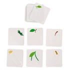 Развивающий набор «Пипетки и трафареты», по методике Монтессори, в пакете - фото 24248734