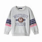 Свитшот для девочки, цвет серый, рост 122-128 см - фото 22840381