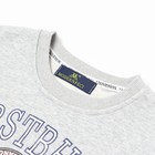 Свитшот для девочки, цвет серый, рост 122-128 см - фото 22840382