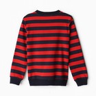 Свитшот для мальчика, цвет красный, рост 122см - фото 24589111