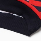 Свитшот для мальчика, цвет красный, рост 128см - фото 31843947