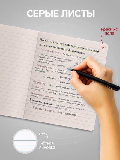 Тетрадь 12 листов линейку, Calligrata «Однотонная Новая Школьная. Эконом», МИКС