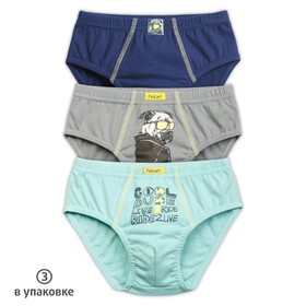 

Трусы для мальчиков, рост 104 см, цвет лазурный, серый, тёмно-синий, 3 шт