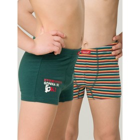 

Трусы для мальчиков, рост 110 см, цвет зелёный, изумрудный, 2 шт