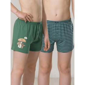 

Трусы для мальчиков, рост 146 см, цвет хаки, лед, 2 шт