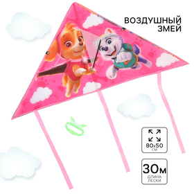 Воздушный змей «Щенячий патруль», Paw Patrol, 50х80 см 9423401