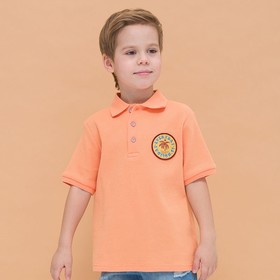Футболка для мальчиков, рост 110 см, цвет оранжевый
