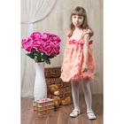 Платье Астра рост 110см (59), цвет персиковый - Фото 1