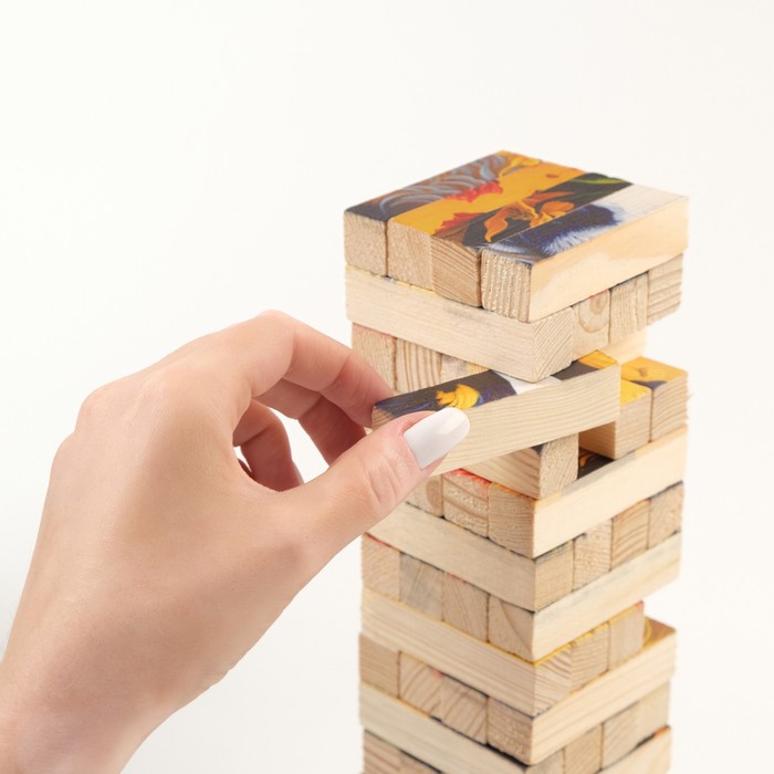 Падающая башня "ДЖАНГА. СОБАЧКА", 56 брусков, 23.5 х 6.6 см, брусок 6.6 х 1.5 см 9789379