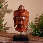 Сувенир "Голова Будды" албезия 45 см - фото 3971459