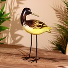 Сувенир "Птица" албезия 27х9х30 см - фото 24427205