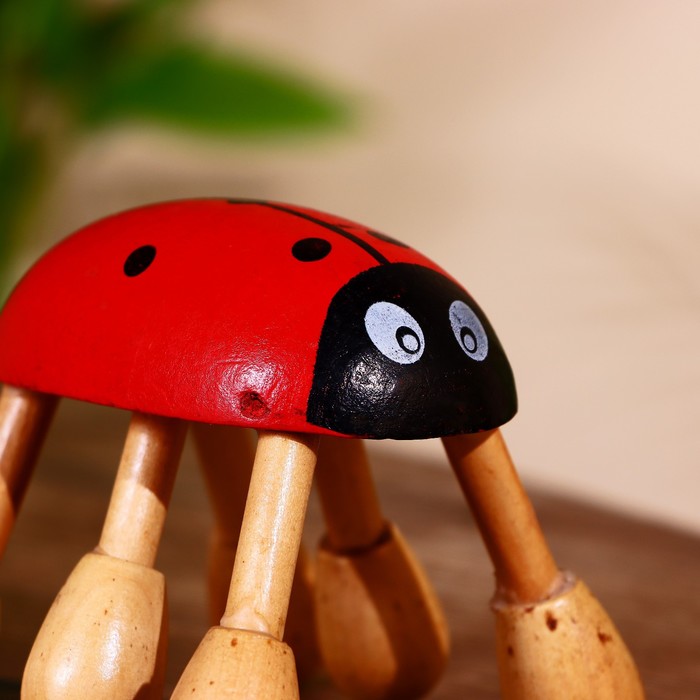 Массажёр "Божья коровка" албезия 9х9х8 см 36493