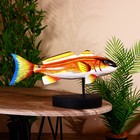 Сувенир "Рыба" дерево 40 см - Фото 2