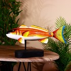 Сувенир «Рыба», 40 см, дерево - Фото 3