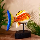 Сувенир «Рыба», 40 см, дерево - Фото 4