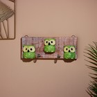 Вешалка «Совушки», 30 см, 2 крючка, дерево - Фото 1