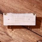 Вешалка «Футбол», 25 см, 2 крючка, дерево - Фото 4