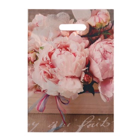 Пакет «Бенефис», полиэтиленовый с вырубной ручкой 29?40 см, 35 мкм (комплект 50 шт)