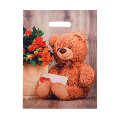 Пакет «Тедди», полиэтиленовый с вырубной ручкой 31×40 см, 60 мкм